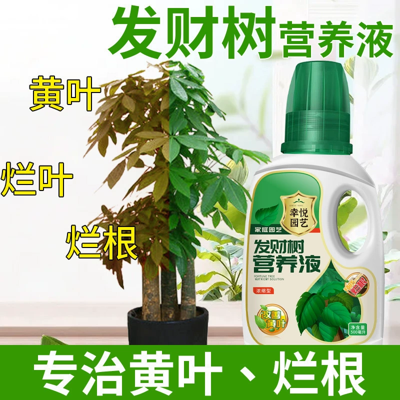 Специальное удобрение для лечения желтых листьев и гниющих корней комнатных горшечных растений, цветочное удобрение Tongmo