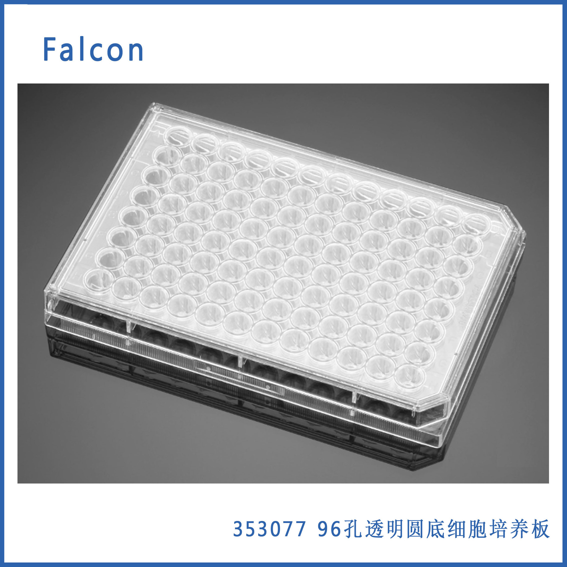 Falcon 353077 96孔透明圆底TC处理细胞培养微板，带盖，单独包装