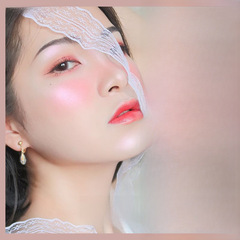 HOJO8029波光粼粼立體高光盤修顏亮肌粉初學者美妝提亮陰影修容粉