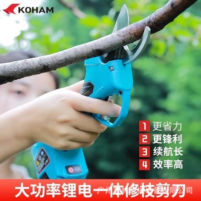 嘉航电动剪防夹手电剪刀园林果树修剪树枝充电式锂电粗枝剪果树剪