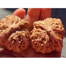 正宗文玩核桃大花狮子麻核桃精品配对手把玩盘玩核桃大官帽男节日