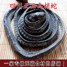 中药材新货乌梢蛇四川正品特级乌梢蛇干纯整盘不碎500g乌蛇可打粉