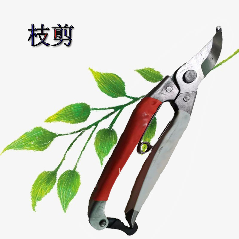园林修枝剪 果树枝剪 树枝剪桑剪枝剪刀园林工具