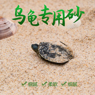 Черепаха Инкубат Инкубат использует аквариумы с мелкой рекой песчаной рыбы для украшения нижнего песка ландшафтного дизайна, яиц с песком крокодиловой черепахи из песка с песком