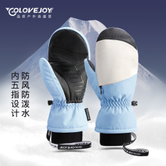 Adult Ski Gloves for Men and Women, Waterproof, Thick, One-Size-Fits-All, Split-Finger or Glove Style, Touchscreen Compatible, Five-Finger Design, Warm and Insulated