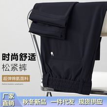 秋冬厚款锦纶高弹力男裤直筒百搭男士休闲裤免烫修身新款长裤子男