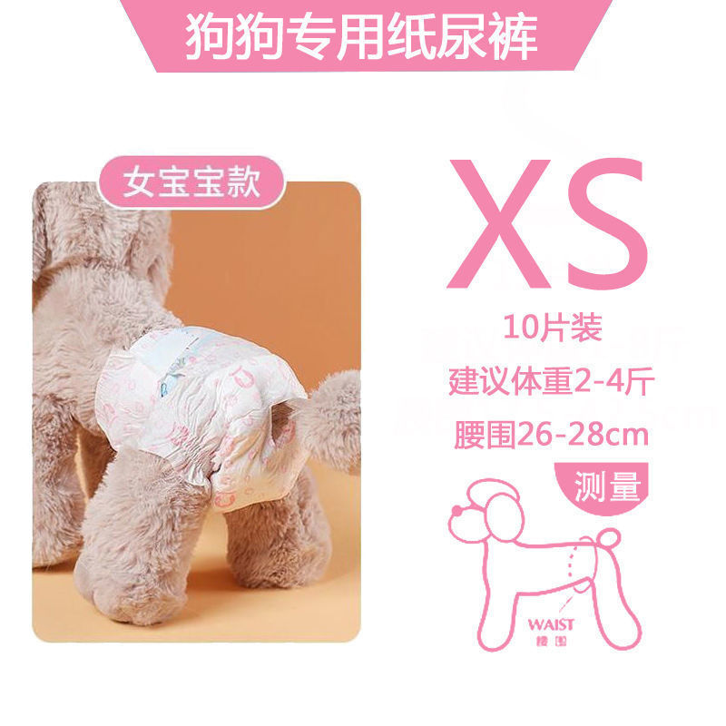犬用おむつ、ペット用おむつ、雄犬専用、雌犬用、テディビション、プードル|undefined