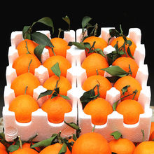 四川眉山愛媛38號果凍橙現貨手剝橙甜橙子新鮮當季一件代