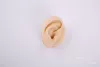 Skin color right ear