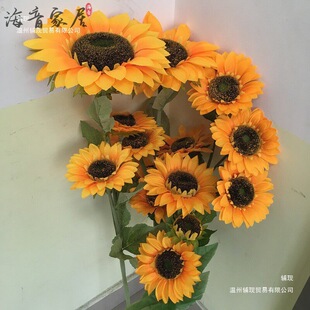 ���տ�̫ꖻ������Ͻ������L��֦�ҾӔ[�O�b�Y�zӰ����؈