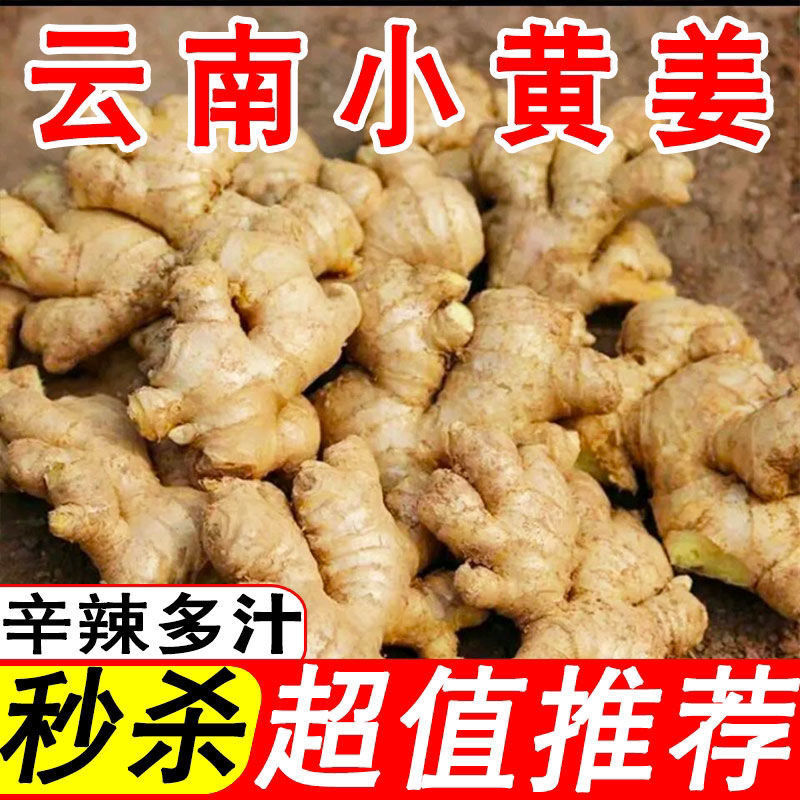 Turmeric specialty Fresh Ginger The month Pungent 1/5/10 ginger Independent Cross border On behalf of