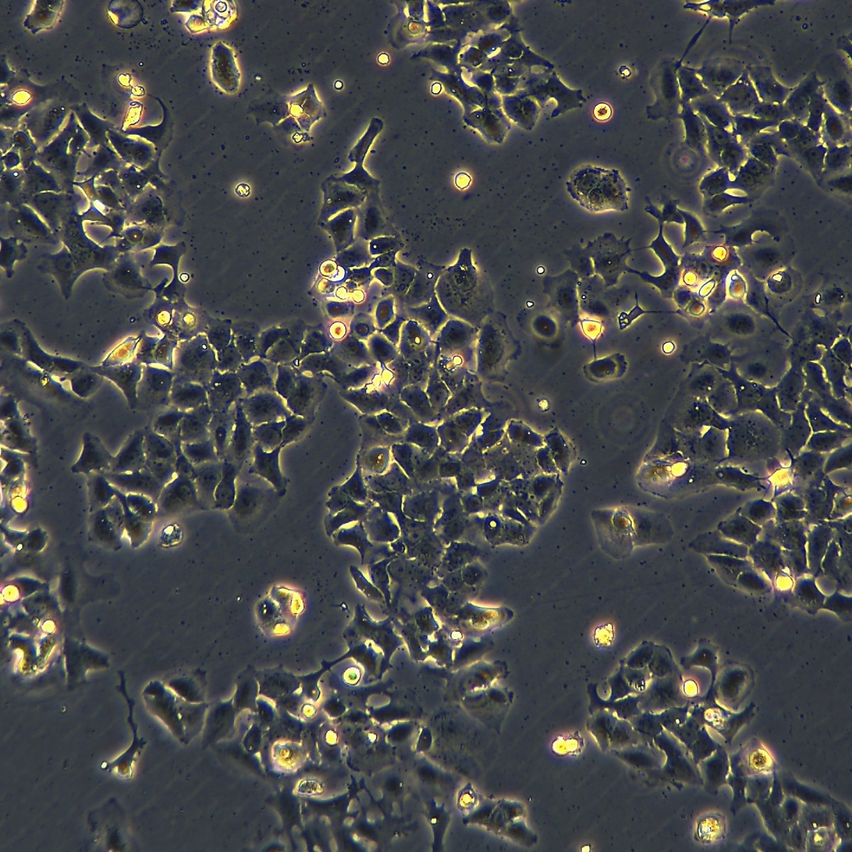 2025-11-04 16:00:01.jpg