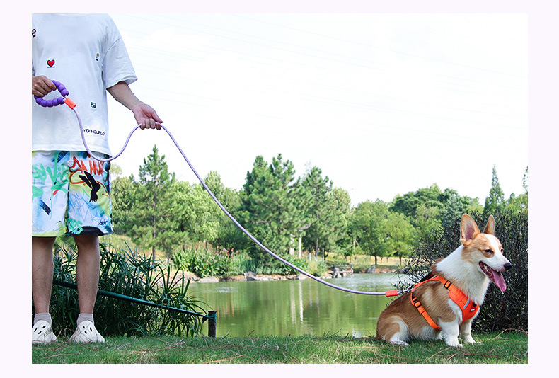 Ceinture de sécurité réfléchissante pour chien avec poignée_voghion.com