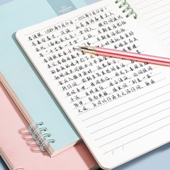 Sifang partner does not hurt the hand coil notebook good-looking student Morandi simple small fresh diary wholesale