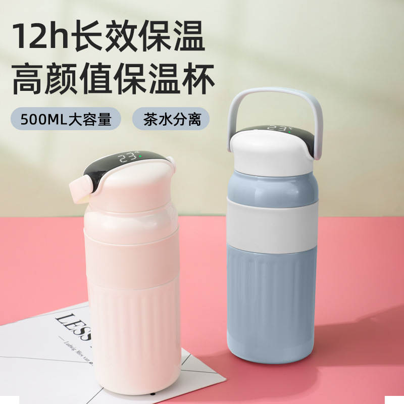 Handheld smart glass