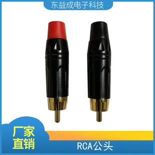 ���S��ֱ�N���Ӿ��RCA���^ 僽�ɏ���^ ��ҕ�l���^ AV�������^