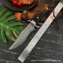 跨境热销VG10大马士革钢破帅直刀一体式锋利户外刀野营求生刀