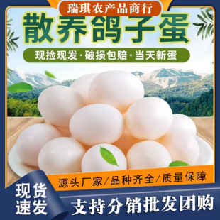 20ö�b���l�r���s�Zɢ�B���خa�������F؛�������ӵ�ʳ�ú��bϵ��