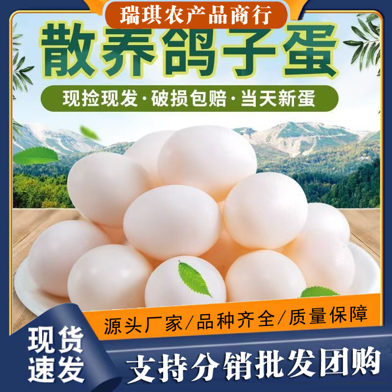20枚装批发农家杂粮散养土特产白鸽蛋现货供应鸽子蛋食用简装系列