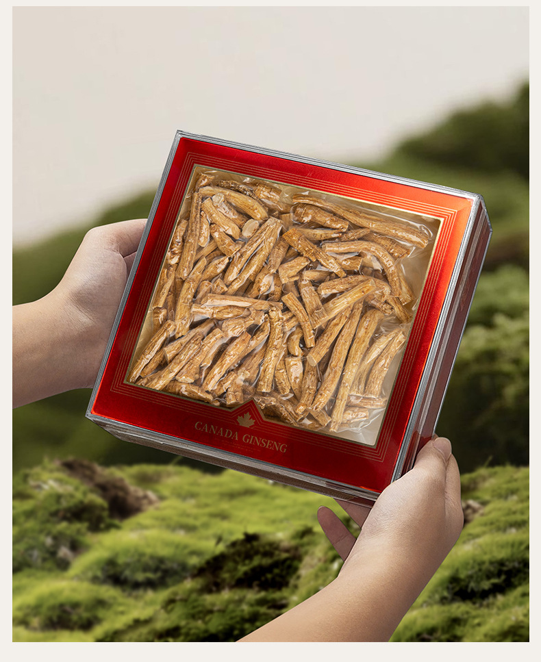 Canadian American Ginseng Gift Box Xi Yang Shen 150g Premium Whole Root Slices for Tea and Soup in use