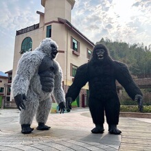�����ɳ�����ż��װgorilla�˴�����ż����ո�˹����ż����żװ