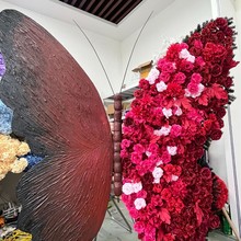 �W�t�������ͺ����b������w��ꐷ������쾰�����Ո�������