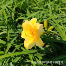 ������������޸��ر��������Ⱛ��ͥԺ���a�ļ�·߅�G��ֲ�����l