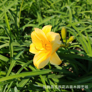 ������������޸��ر��������Ⱛ��ͥԺ���a�ļ�·߅�G��ֲ�����l