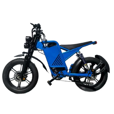 Assist Bicycle Dual Motor EBiK: Diàndòngchē Auto Parts and Accessories