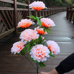 ��Ĺ�û�75CM9�^�ջ�������ٻ���@��Ĺǰ�[�Ż������ω��پջ�