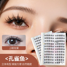 ����ٽ�ë���w�������z��Ȼ���N��ë�羳�޾��������������ٽ�ë