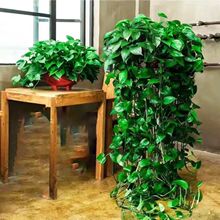 ������G�j�L�����Կ͏dˮ����m���ܳ���ȩ��ݗ���҃�ֲ�����l