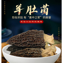 云南蘑菇羊肚菌干货非人工种植个大肉厚饱满新鲜头茬源头厂家包邮