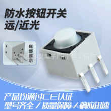 ˮo_P 12*12 _i_P 늄܇h/ CEJC