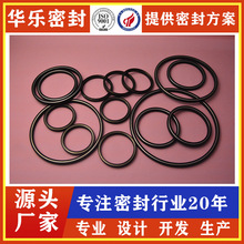 柱塞水泵密封 耐水压硅胶聚四氟乙烯密封件水处理设备专用密封垫