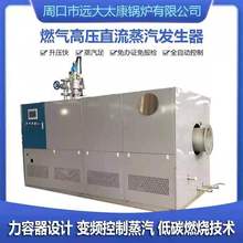 广西河粉加工用0.3吨燃气蒸汽发生器/300公斤燃油直流蒸汽发生器