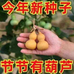 ���J�N�� �r��ˈ@����С���J�N�� �@ˇ����@ˇС���J�N��