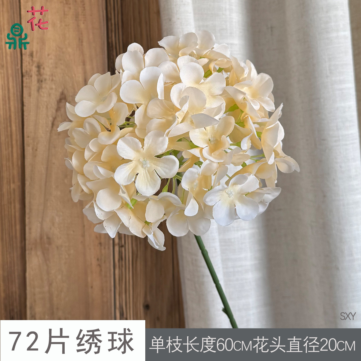 72개입 수국 SXY 샴페인 골드