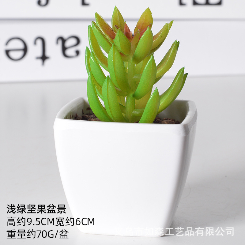 Simulación de plástico carnoso bonsai flor falsa combinación oficina interior escritorio plantas verdes pequeños adornos plantas artificiales al por mayor image 42
