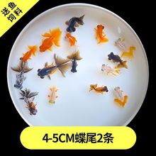 ��ˮ�^�p�~�{���^���~���w���B�ͻˮ����С���~�猙���~���w�~