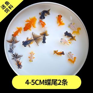 ��ˮ�^�p�~�{���^���~���w���B�ͻˮ����С���~�猙���~���w�~