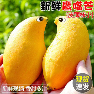 �������â5��â�����r�Fժˮ�� �®������Ĵ���Ƥâ�����ش�â��