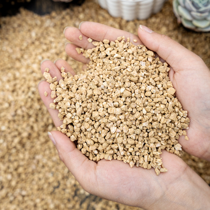 [정밀한 선별이 가능한 한 봉지] 1.0kg팩(가성비 좋고 저렴한 팩)