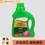 保湿家用植物水培花肥