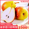 江南批发直发【顺丰】南非彩啤梨5斤梨子进口水果彩皮梨甜多汁|ms