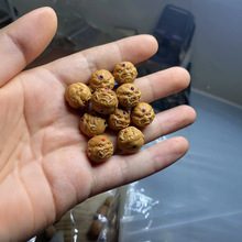 ���^����A������Ƕ��ɮ���w�ִ���������������ɮ