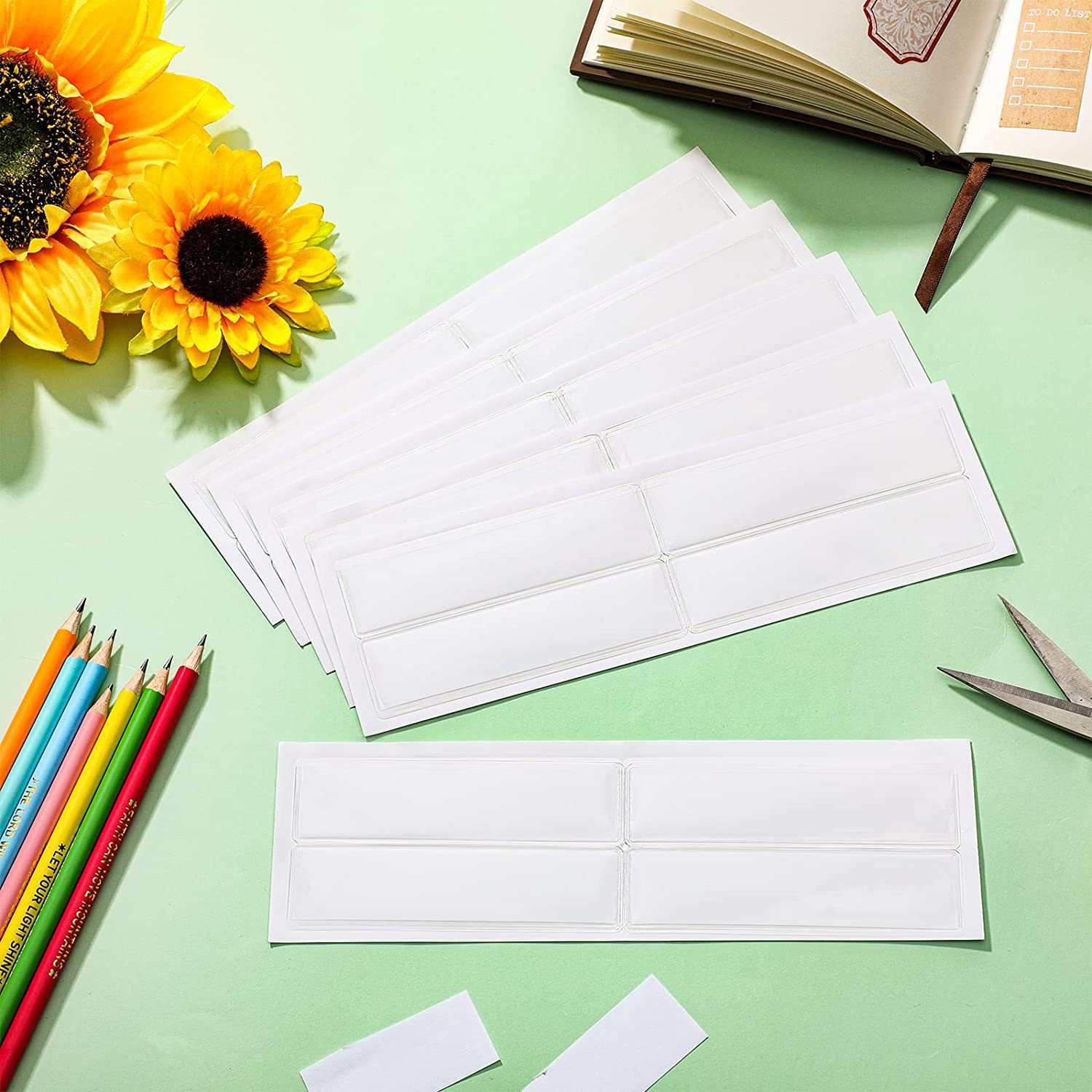 71DPEchEBaL._AC_SL1500_