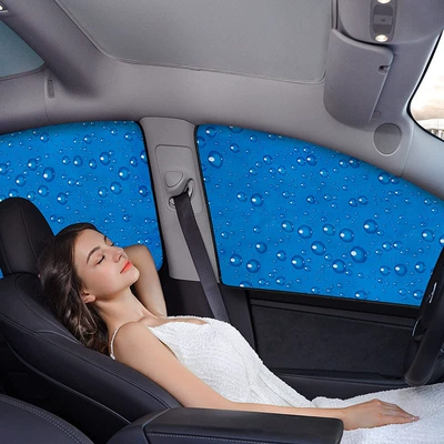 Protection Retractable Magnetic Car Curtain: Sun shade