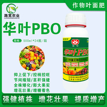 �A�~PBO ���͹���ٿ؄��~��ʿ��ҿ���ȫ�갫��������ɫ���500m