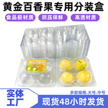 ˮ�����ӎ��w��4����������ϰ��b��PET͸��һ�������������l�r��